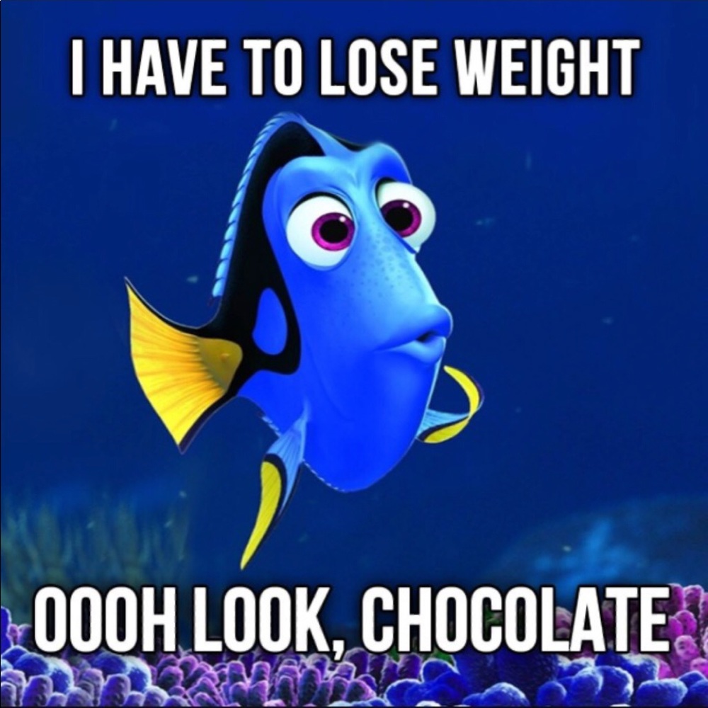 🤣These made me giggle 🍩🍫